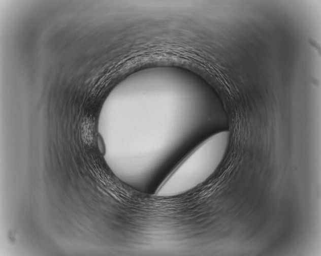 X0000101411490200807070953