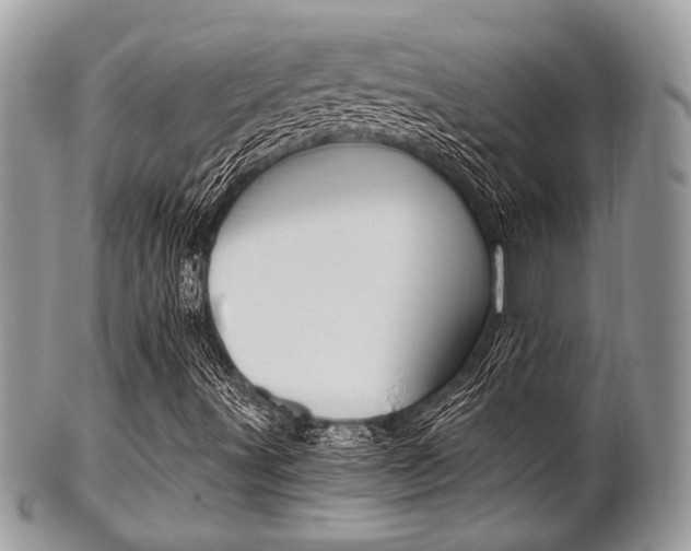 X0000101411491200807070953