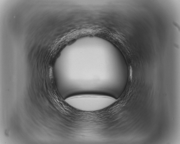 X0000101411492200807070953