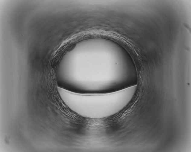 X0000101411494200807070953