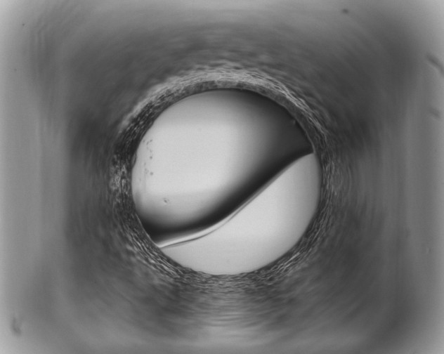 X0000101411495200807070953