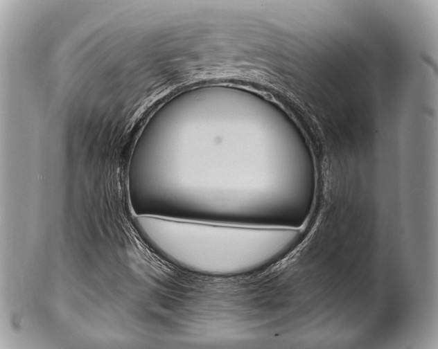 X0000101411497200807070953