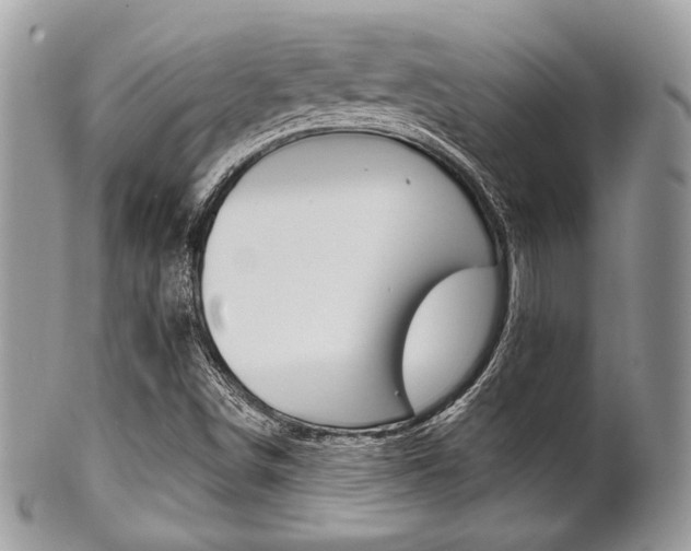 X0000101411498200807070953