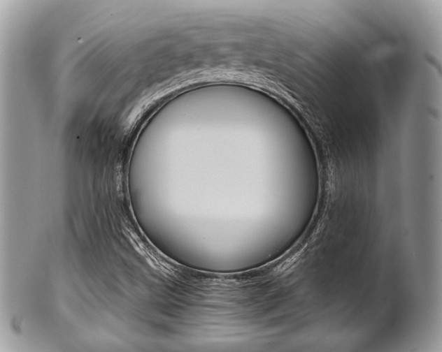 X0000101411499200807070953