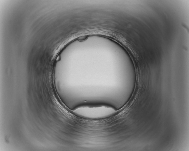 X0000101411500200807070953