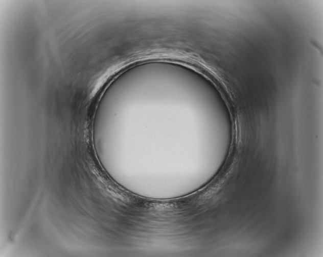 X0000101411501200807070953