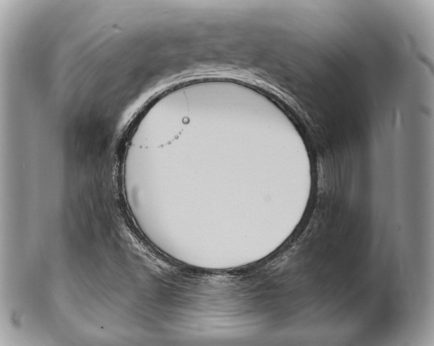 X0000101411502200807070953