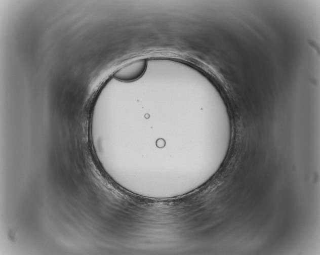 X0000101411504200807070953