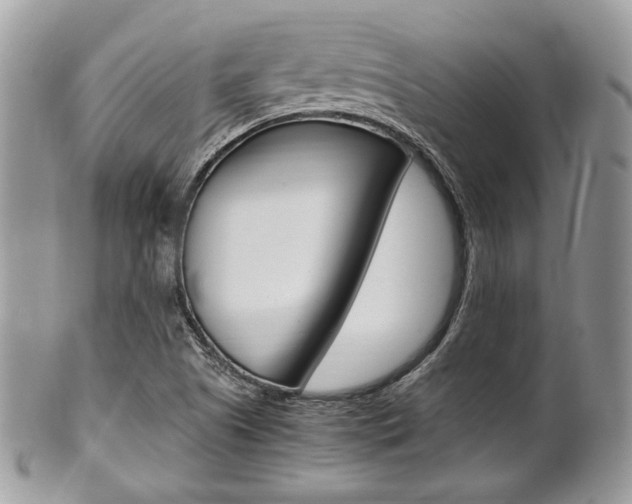 X0000101411505200807070953