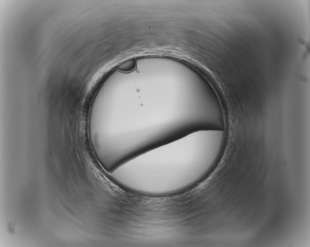 X0000101411506200807070953