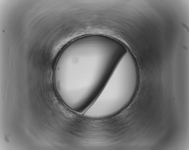 X0000101411507200807070953