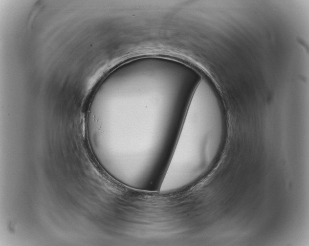 X0000101411509200807070953