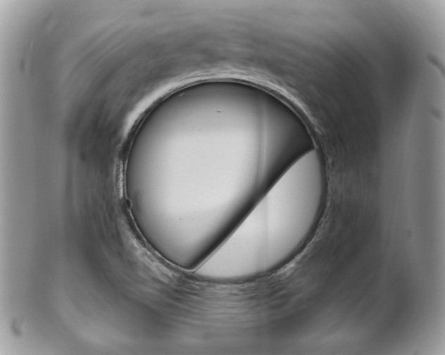 X0000101411510200807070953