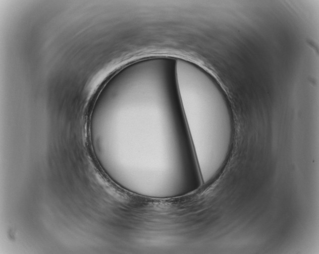 X0000101411511200807070953