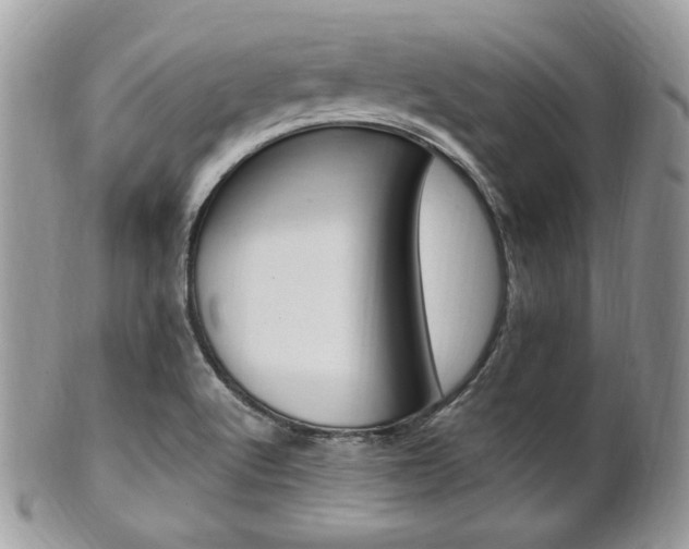 X0000101411512200807070953