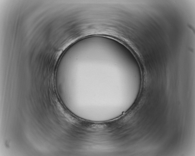 X0000101411513200807070953