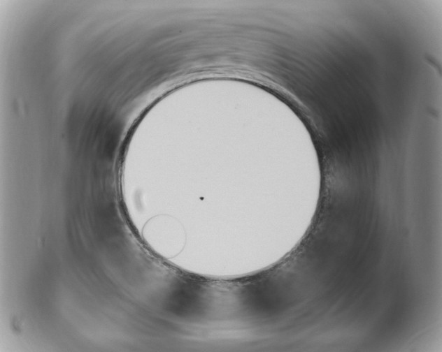 X0000101411514200807070953