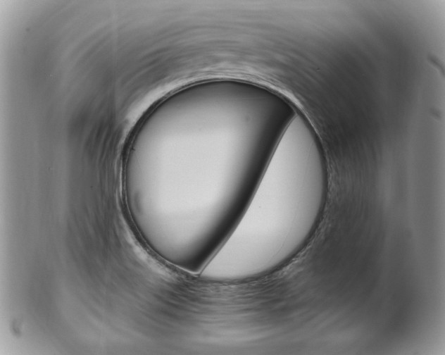 X0000101411515200807070953