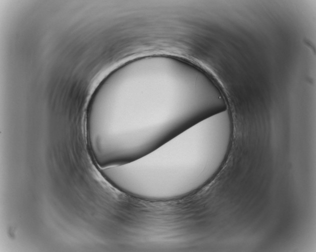 X0000101411516200807070953