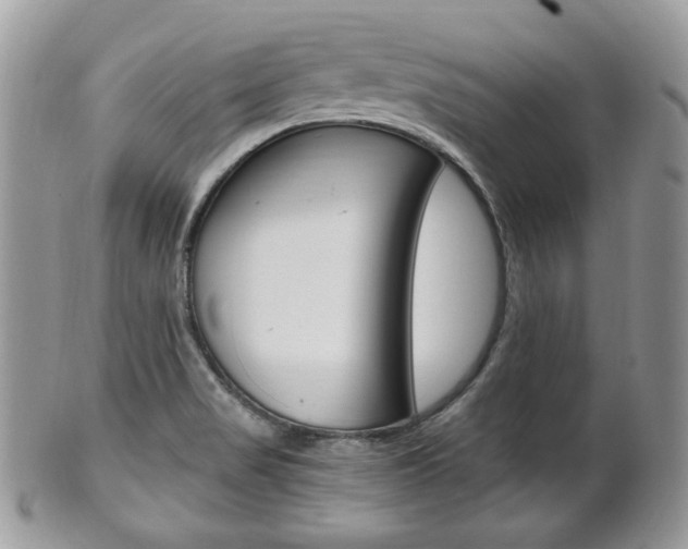 X0000101411517200807070953