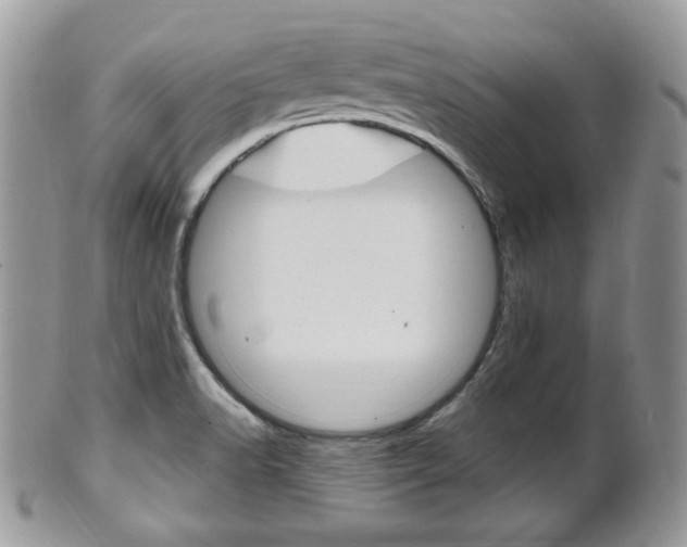 X0000101411518200807070953