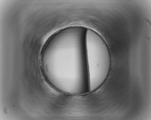 X0000101411519200807070953