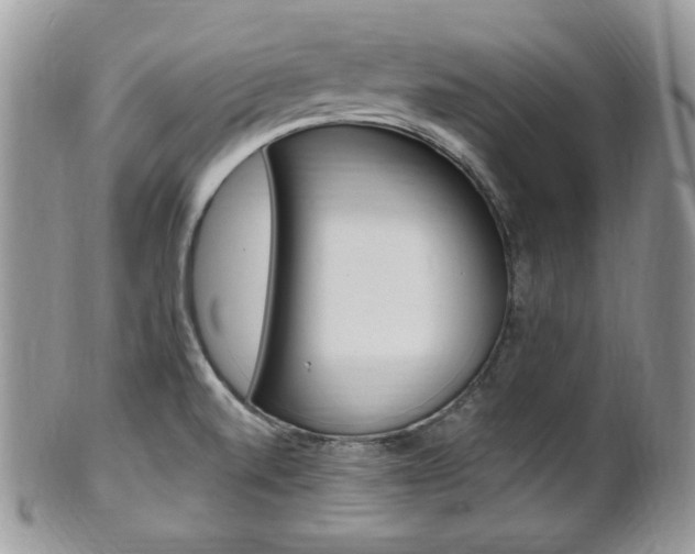 X0000101411520200807070953