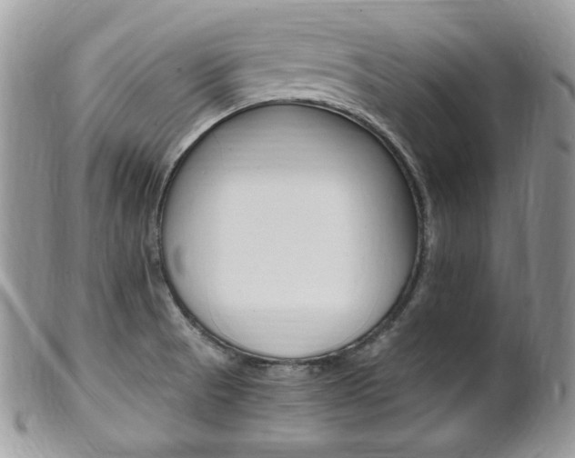 X0000101411521200807070953