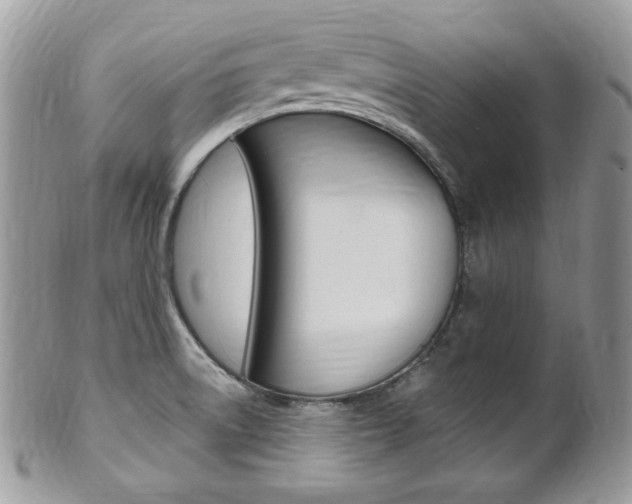 X0000101411522200807070953