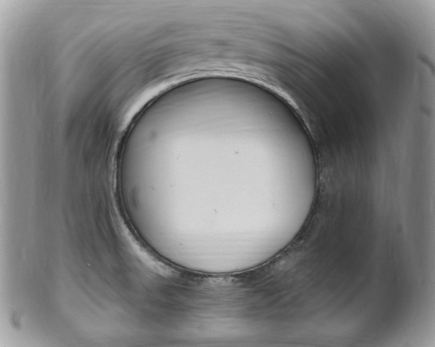 X0000101411523200807070953