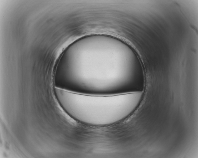 X0000101411525200807070953