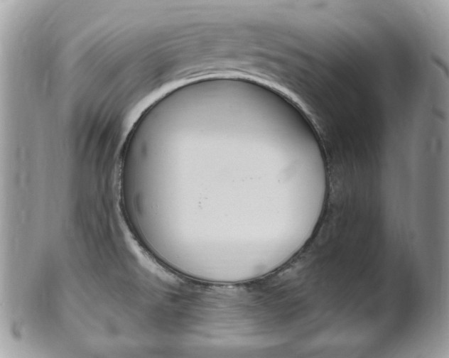 X0000101411526200807070953