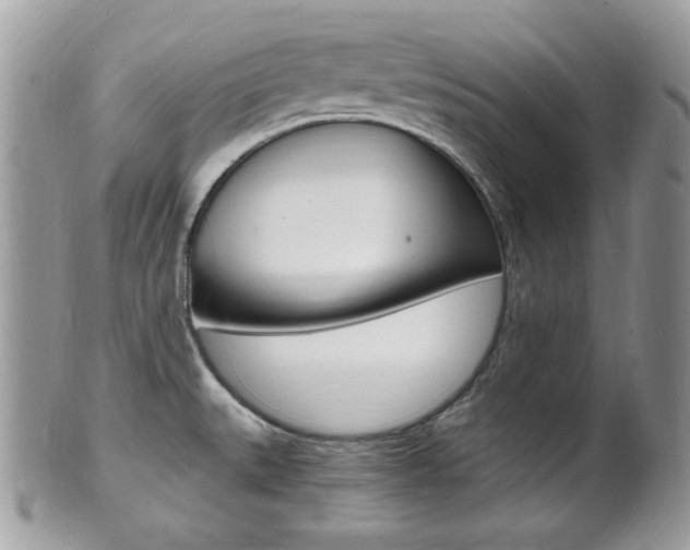 X0000101411527200807070953