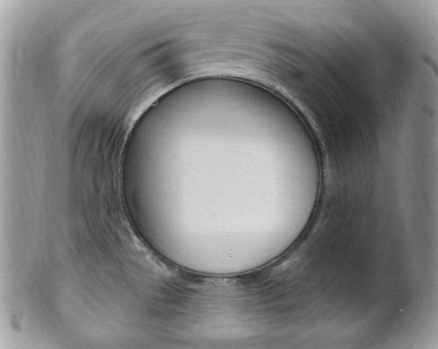 X0000101411529200807070954