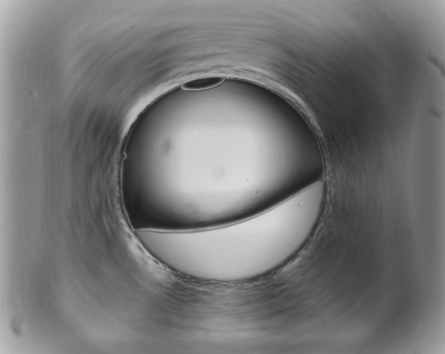 X0000101411530200807070954