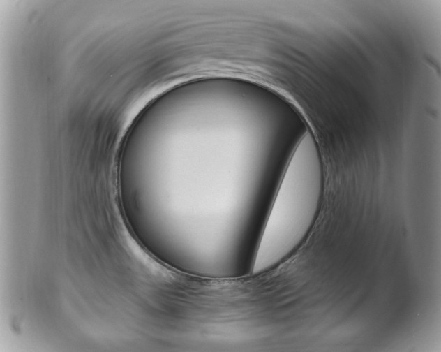 X0000101411531200807070954
