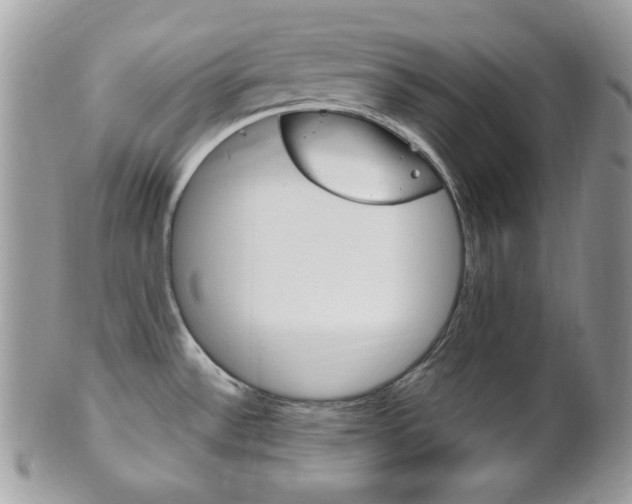 X0000101411532200807070954