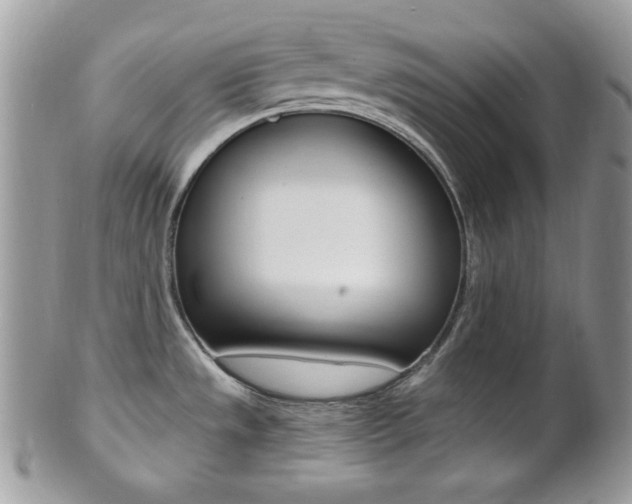 X0000101411533200807070954