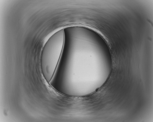 X0000101411534200807070954