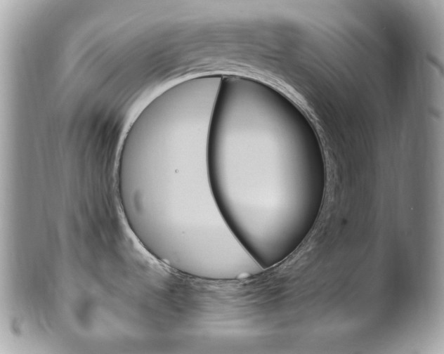 X0000101411536200807070954