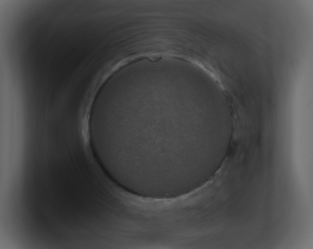 X0000101410002200807071304
