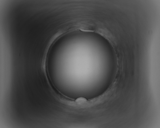 X0000101410003200807071304
