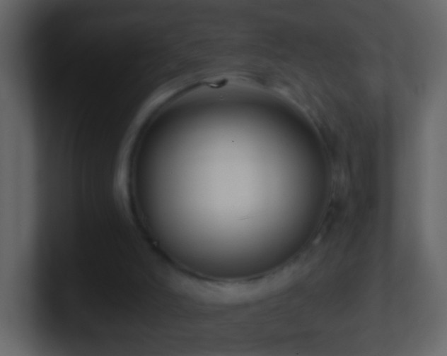 X0000101410006200807071304