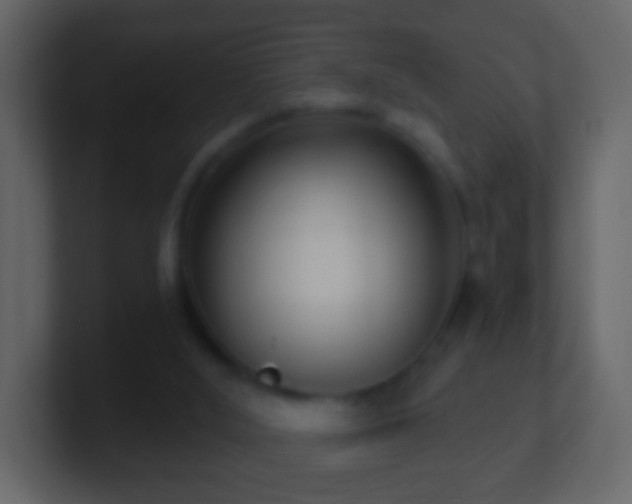 X0000101410012200807071304