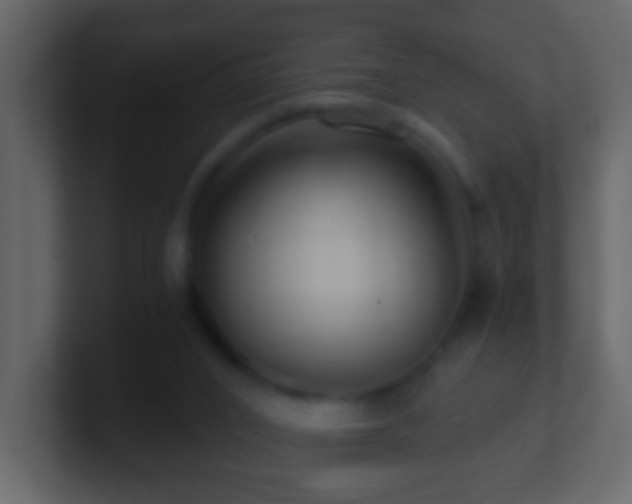 X0000101410016200807071304