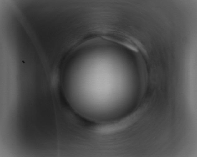 X0000101410017200807071304