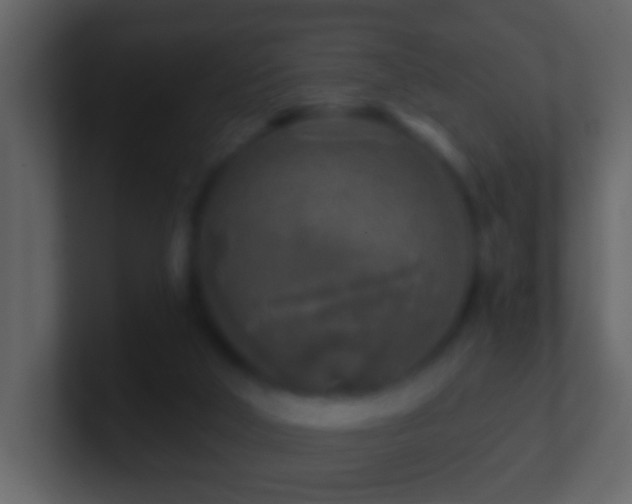 X0000101410018200807071304