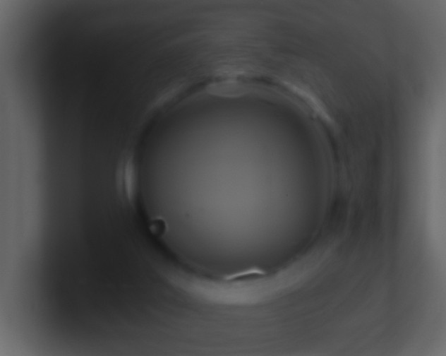 X0000101410019200807071304