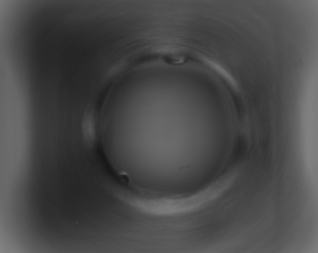 X0000101410023200807071304