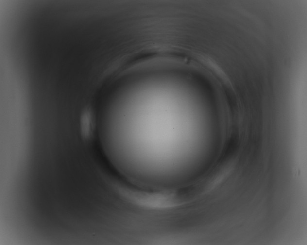X0000101410024200807071304